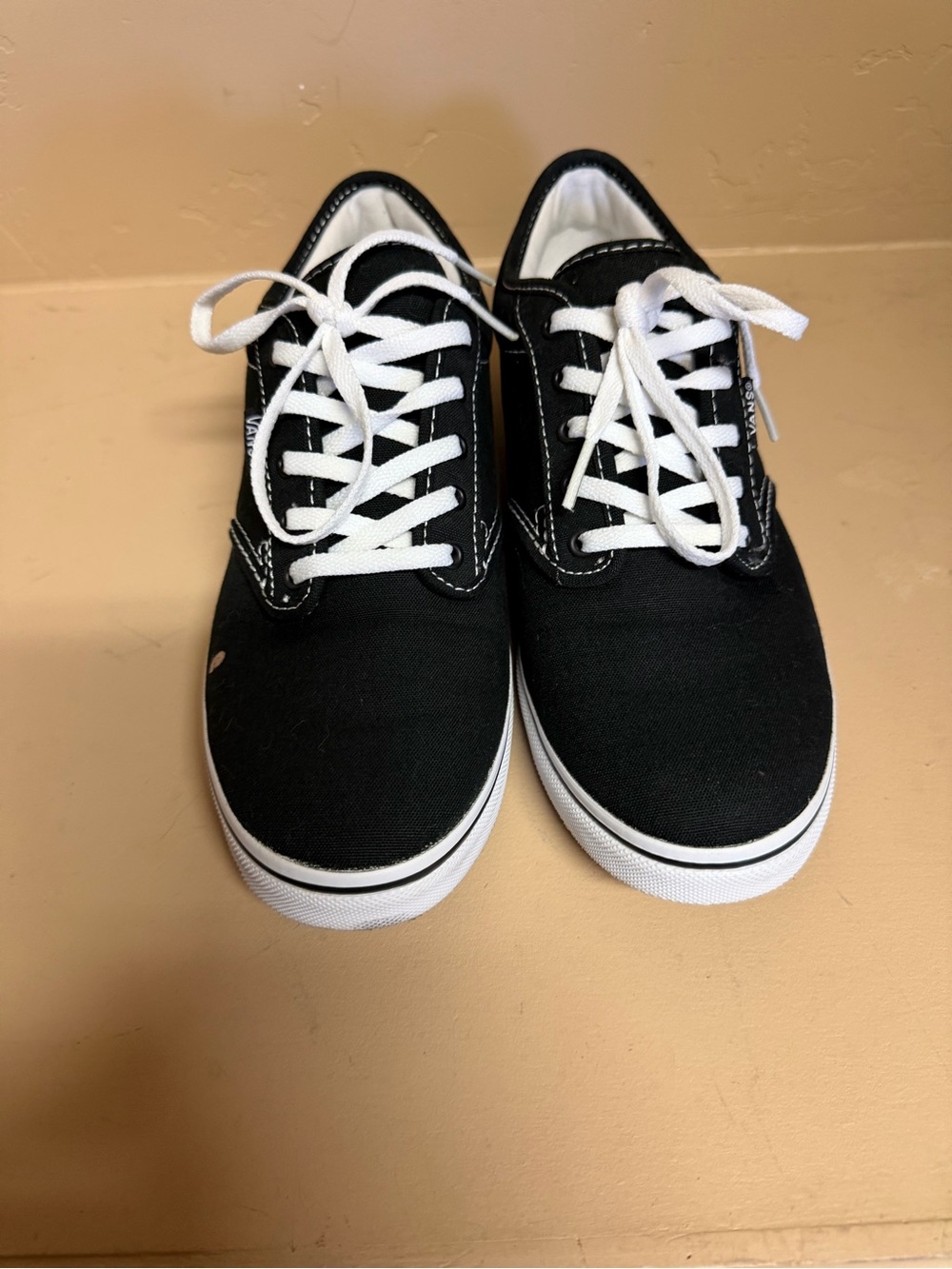 Vans Black Canvas Low-Top Sneakers with White Laces